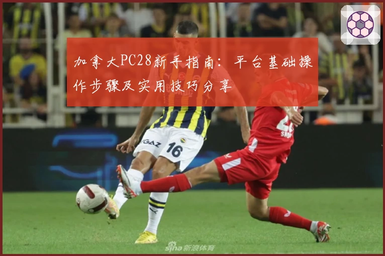 加拿大PC28新手指南：平台基础操作步骤及实用技巧分享