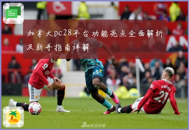 加拿大pc28平台功能亮点全面解析及新手指南详解