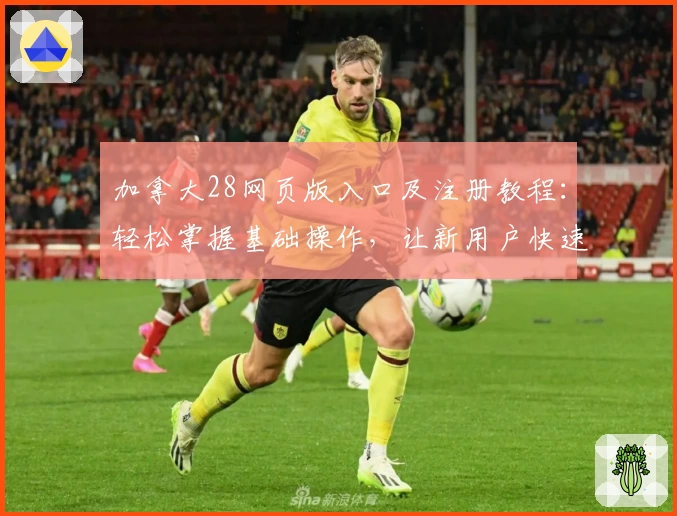 加拿大28网页版入口及注册教程：轻松掌握基础操作，让新用户快速上手