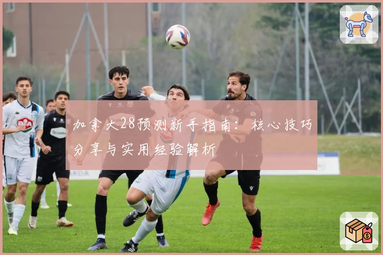 加拿大28预测新手指南：核心技巧分享与实用经验解析