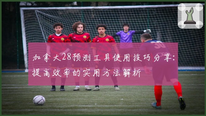 加拿大28预测工具使用技巧分享：提高效率的实用方法解析