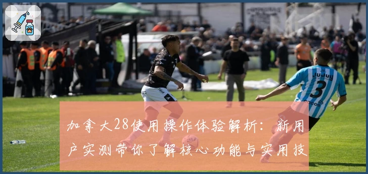 加拿大28使用操作体验解析:新用户实测带你了解核心功能与实用技巧