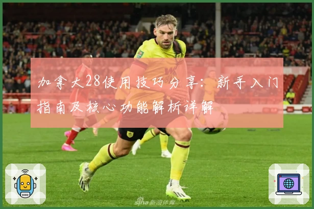 加拿大28使用技巧分享：新手入门指南及核心功能解析详解