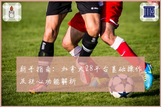 新手指南：加拿大28平台基础操作及核心功能解析