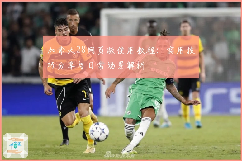 加拿大28网页版使用教程：实用技巧分享与日常场景解析