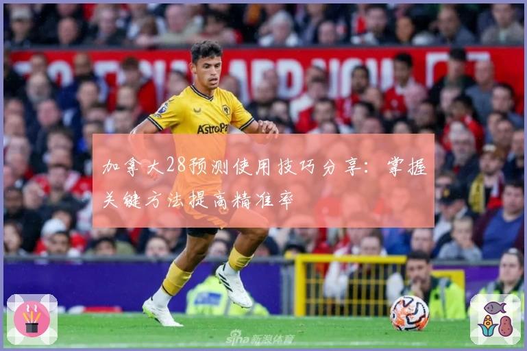 加拿大28预测使用技巧分享：掌握关键方法提高精准率