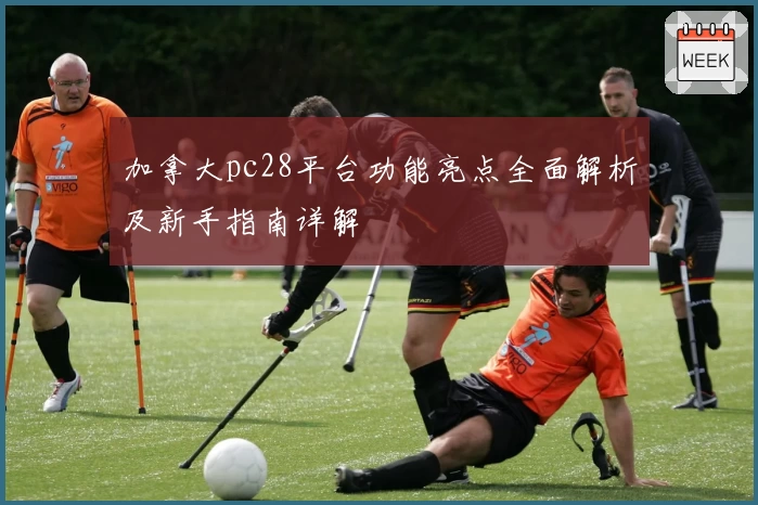 加拿大pc28平台功能亮点全面解析及新手指南详解