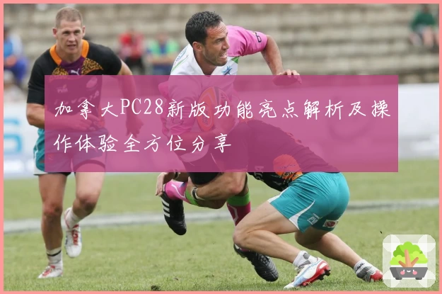 加拿大PC28新版功能亮点解析及操作体验全方位分享