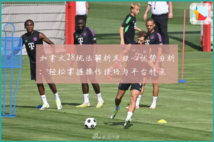 加拿大28玩法解析及核心优势分析：轻松掌握操作技巧与平台特点